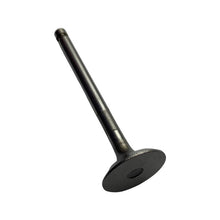 1022100-Genuine Replacement Intake Valve