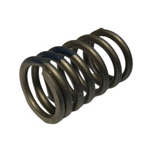 1022109-Genuine Replacement Valve Spring