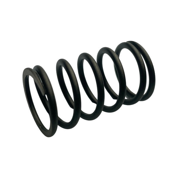 1025056 Valve spring