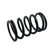 1025056 Valve spring