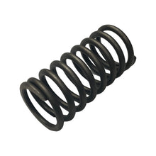 1027199-Genuine Replacement Valve Inner Spring
