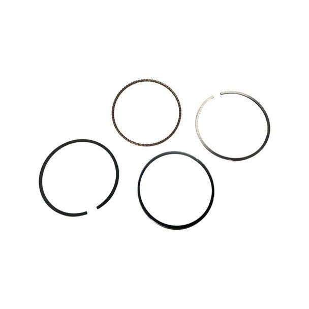 1063058-Genuine Replacement Piston Ring Assembly