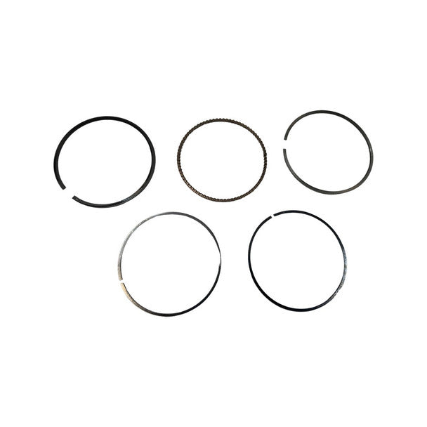1065046-Genuine Replacement Piston Ring Assembly