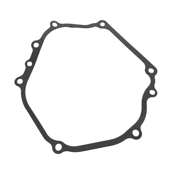 1066031-Genuine Replacement Crankcase Gasket