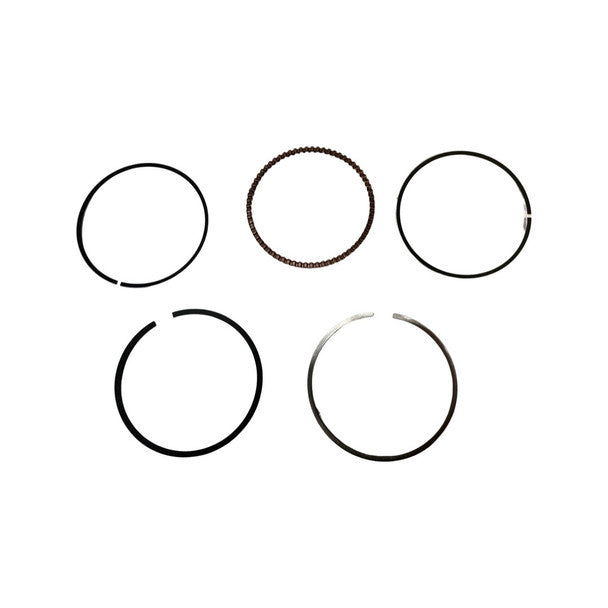 1090055-Genuine Replacement Piston Ring Set