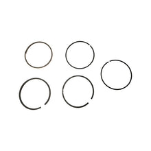 1099134-Genuine Replacement Piston Ring Set
