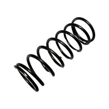 1101015-Genuine Replacement Spring