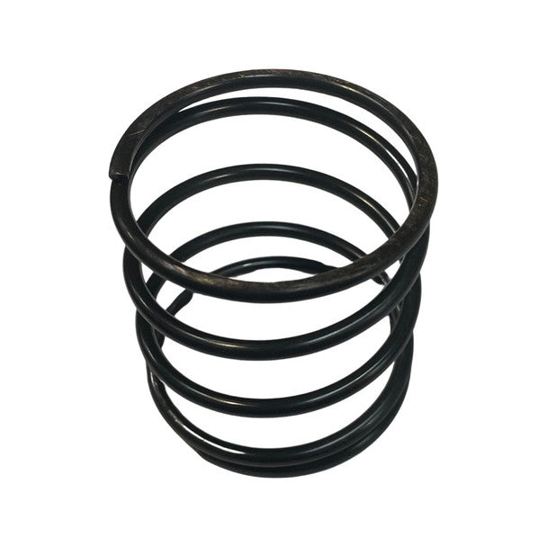 1105169 - Genuine Replacement Clutch Spring