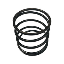 1105169 - Genuine Replacement Clutch Spring