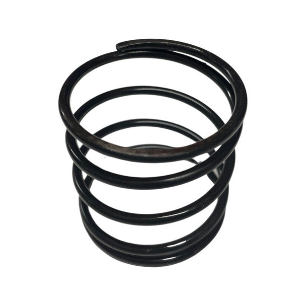 1106181 - Genuine Replacement Clutch Spring