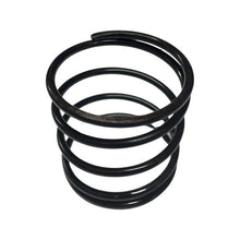 1106181 - Genuine Replacement Clutch Spring
