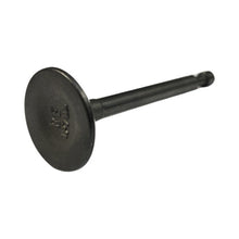 1146139 - Genuine Replacement Exhaust Valve