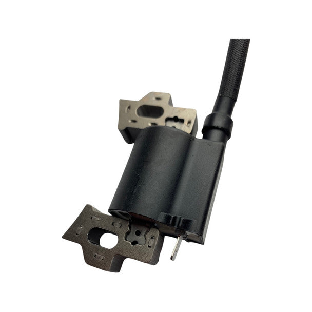Ignition System Assembly for HYFT56-ESLA09