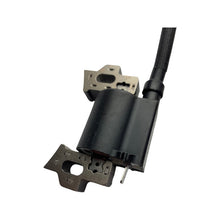 Ignition System Assembly for HYFT56-ESLA09