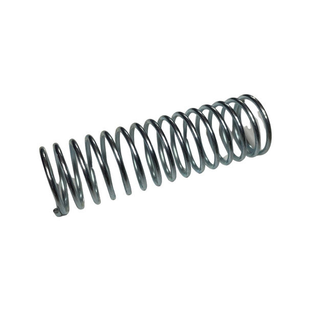1189071 - Genuine Replacement Spring
