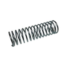 1189071 - Genuine Replacement Spring