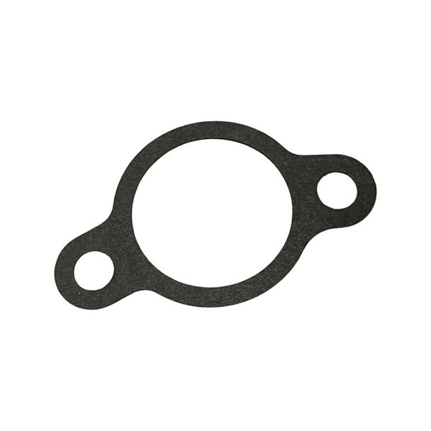 1244105-Genuine Replacement Intake Packing