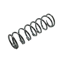 1308009 - Genuine Replacement Spring