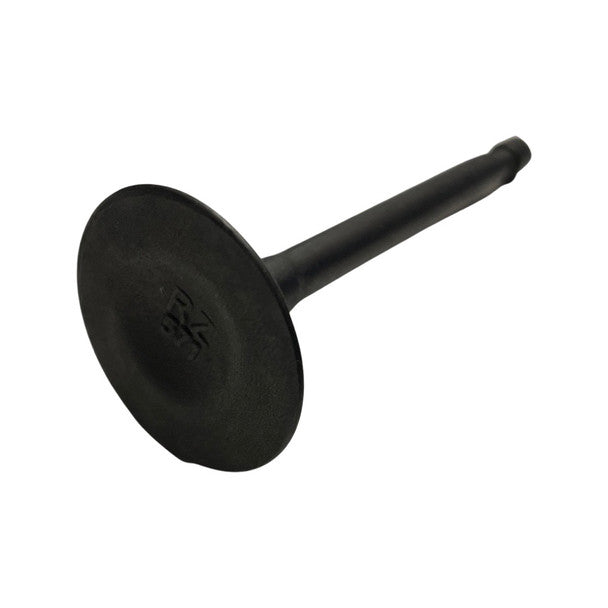 VALVE,IN for P3500PWA-E20