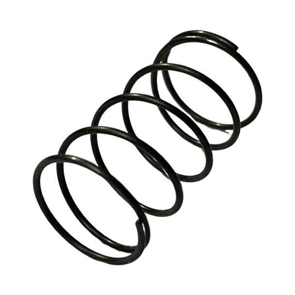 1396035-Genuine Replacement Lock Spring