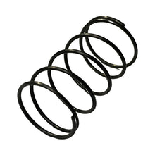 1396035-Genuine Replacement Lock Spring