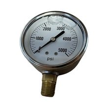 PAB005728 - Genuine Replacement Glycerine Gauge