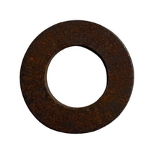 PAE001324 - Genuine Replacement Washer